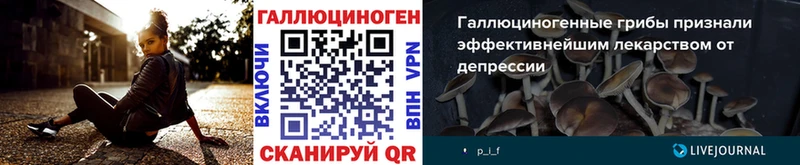 блэк спрут ссылки Петушки Псилоцибиновые грибы мицелий